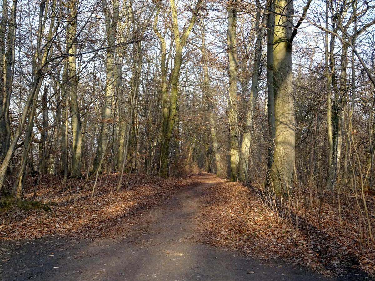 Neubrandenburg-Wasser,Natur,Zentrum,Ladestation für E-Autos Exterior foto